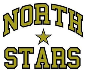 Thunder Bay North Stars 2010-2012 Primary Logo iron on transfers for T-shirts